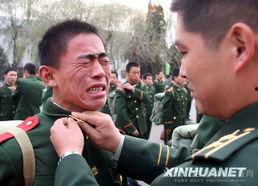 老兵2011,岁月沉淀的荣耀与回忆