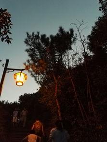 暗灯未明,探寻未知的幽暗世界