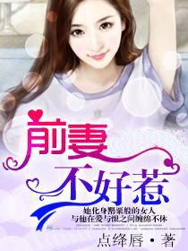 历总前妻不好惹,一段不为人知的复仇传奇