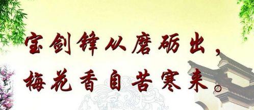 年代下乡我有天道酬勤,下乡岁月的青春印记