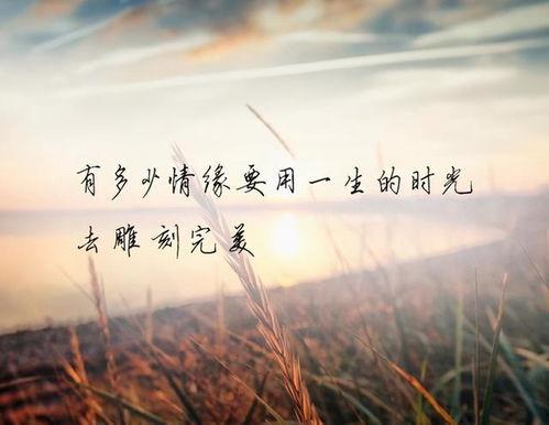 我们爱过又忘记,遗忘，人生轮回的轨迹